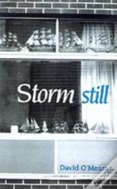 Storm Still