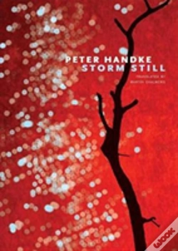 Capa do artigo Storm Still