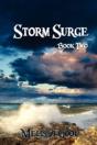 Storm Surge - Book Two - Preview