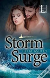 Capa do artigo Storm Surge