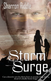 Capa do artigo Storm Surge