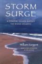 Storm Surge - Preview
