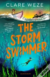 Capa do artigo Storm Swimmer