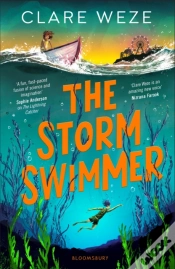 Capa do artigo Storm Swimmer