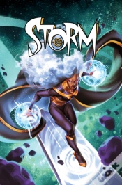 Capa do artigo Storm Vol. 2