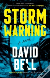 Capa do artigo Storm Warning