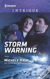 Capa do artigo Storm Warning