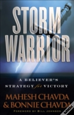 Capa do artigo Storm Warrior Â€“ A Believer`S Strategy For Victory