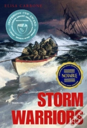Capa do artigo Storm Warriors