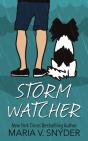 Storm Watcher - Preview