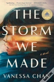 Capa do artigo Storm We Made