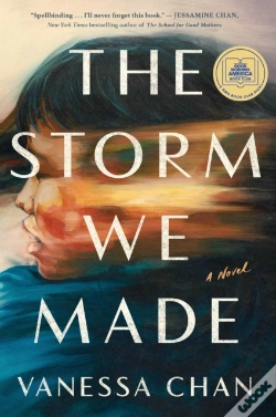 Capa do artigo Storm We Made