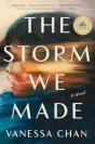 Storm We Made - Preview