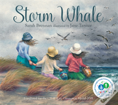 Storm Whale