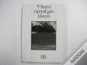 Capa do artigo "Storm, Y"
