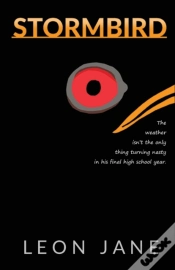 Capa do artigo Stormbird