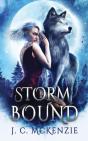 Stormbound - Preview