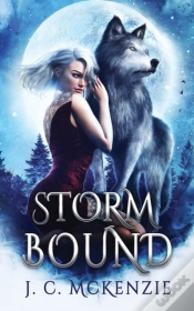 Capa do artigo Stormbound