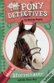 Capa do artigo Stormchaser And The Silver Mist