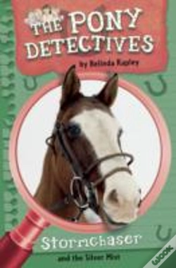 Capa do artigo Stormchaser And The Silver Mist