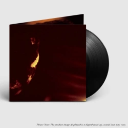 Capa do artigo Stormcrowfleet (30th Anniversary Edition) - Vinil