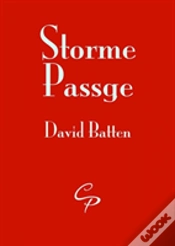 Capa do artigo Storme Passage