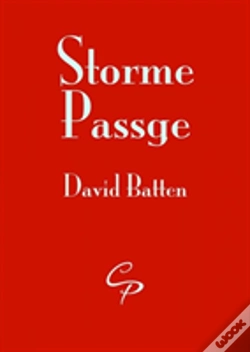 Capa do artigo Storme Passage