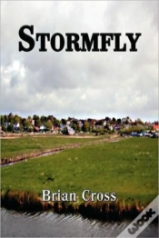 Capa do artigo Stormfly