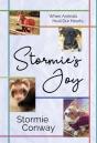 Stormie'S Joy - Preview
