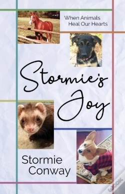 Capa do artigo Stormie'S Joy