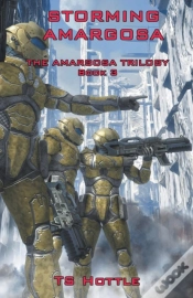 Capa do artigo Storming Amargosa
