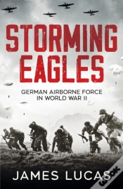 Capa do artigo Storming Eagles