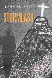 Capa do artigo Stormlash