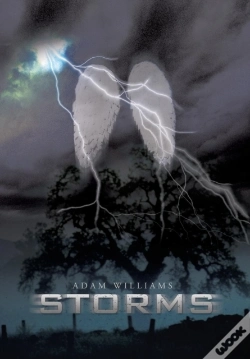 Capa do artigo Storms
