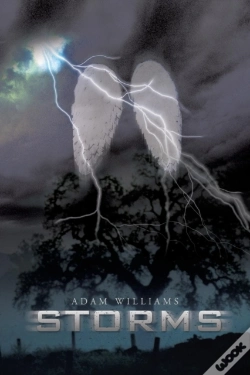 Capa do artigo Storms