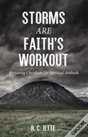 Capa do artigo Storms Are Faith