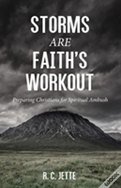 Capa do artigo Storms Are Faith'S Workout