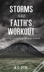 Capa do artigo Storms Are Faith