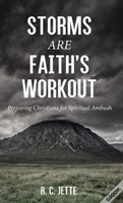 Capa do artigo Storms Are Faith'S Workout