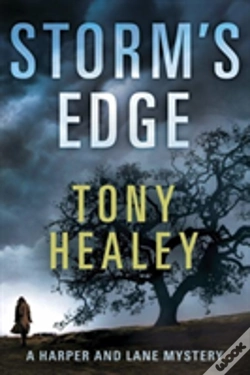 Capa do artigo Storm'S Edge