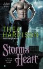 Storm'S Heart - Preview