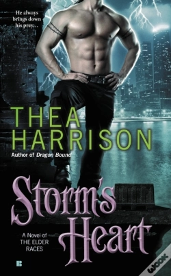 Capa do artigo Storm'S Heart