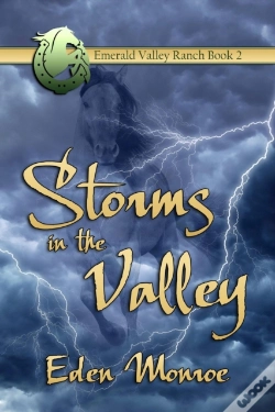 Capa do artigo Storms In The Valley