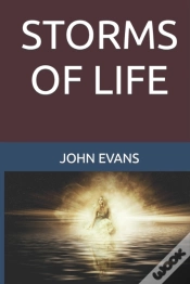 Capa do artigo Storms Of Life