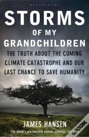 Capa do artigo Storms Of My Grandchildren