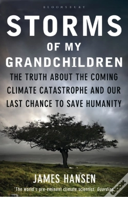 Capa do artigo Storms Of My Grandchildren