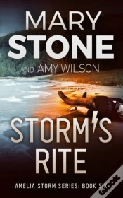 Capa do artigo Storm