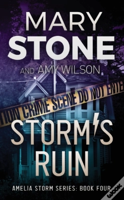 Capa do artigo Storm'S Ruin