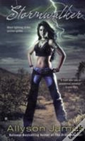 Capa do artigo Stormwalker