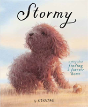 Stormy - Preview